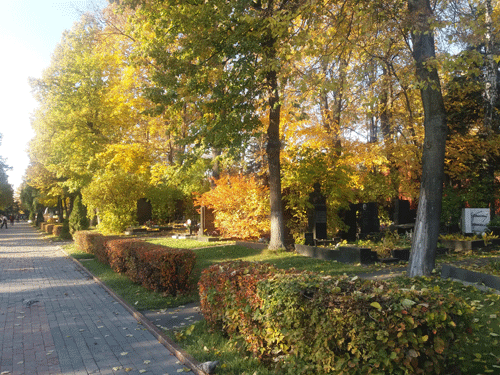 1523102018102952.gif