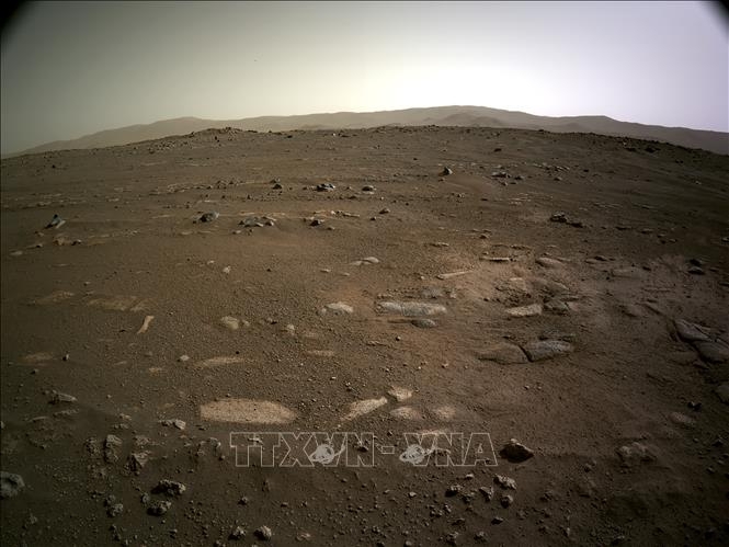 1736483666923_11342710012025.jpg