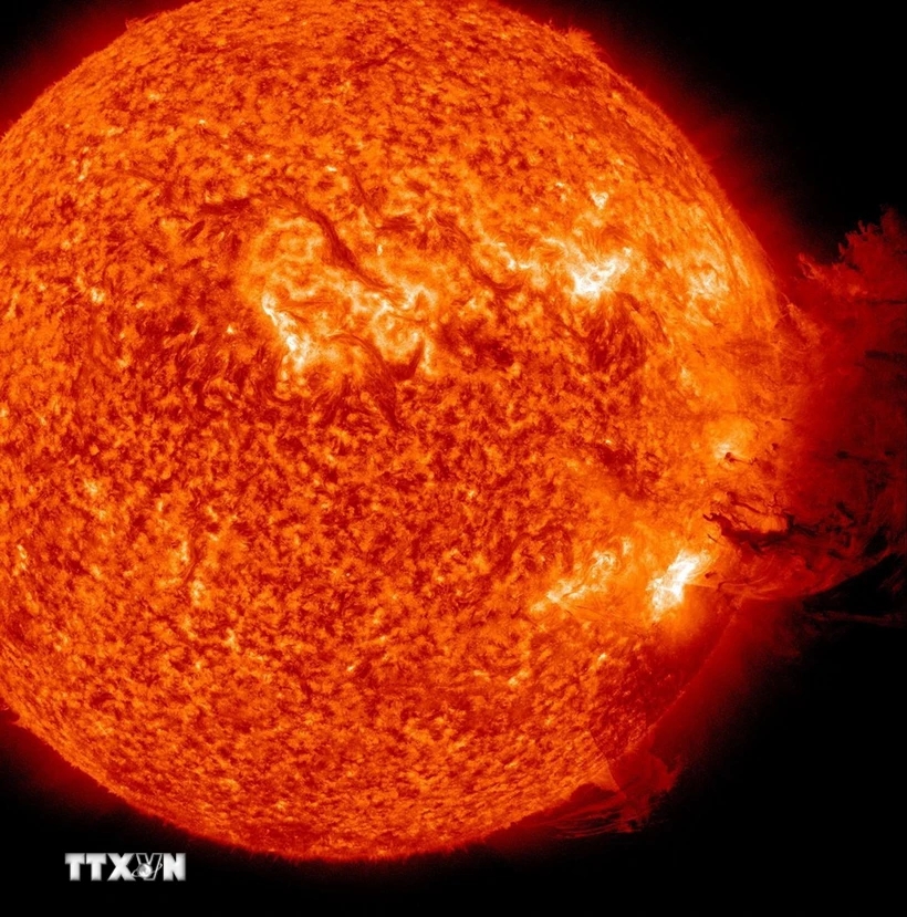 1740041265081_15474620022025.jpg