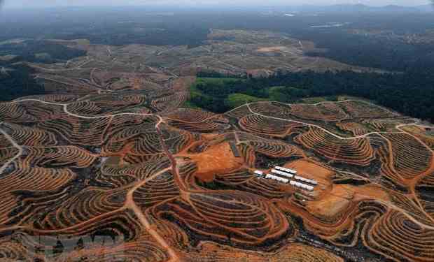 Indonesia: Thủ đô mới sẽ được hưởng quy chế của tỉnh tự trị