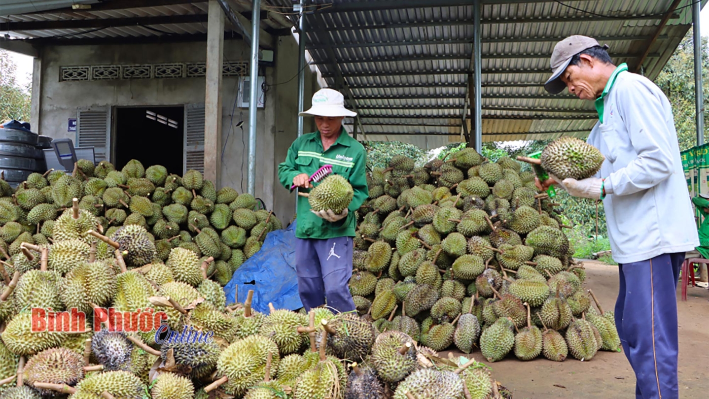 1_17055102062024.jpg
