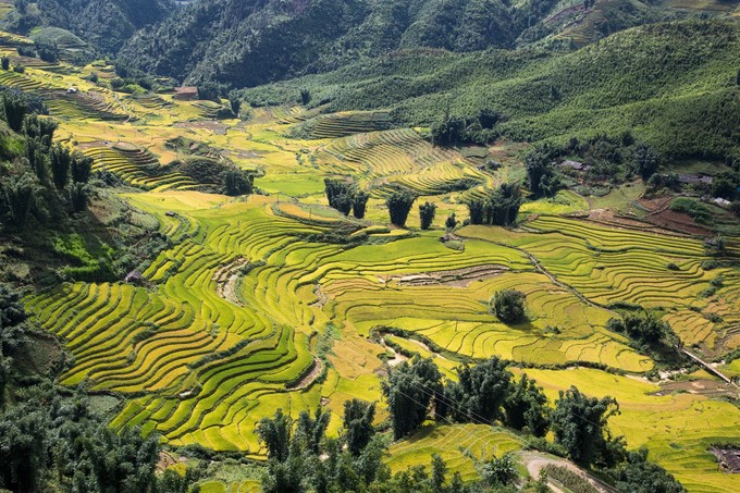 2-thung-lung-muong-hoa-1543661419680x003122018024600.jpeg