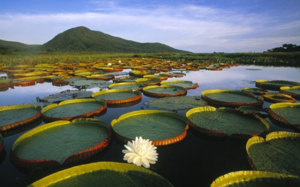 2010082016042544.jpg