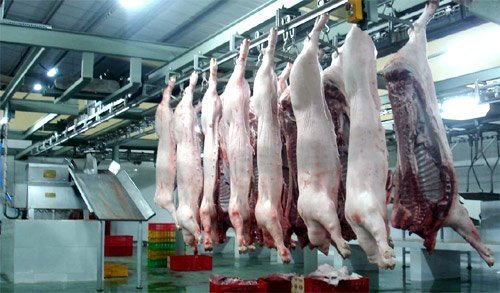 30 cơ sở giết mổ tập trung có 20 xếp loại B, 10 xếp loại C