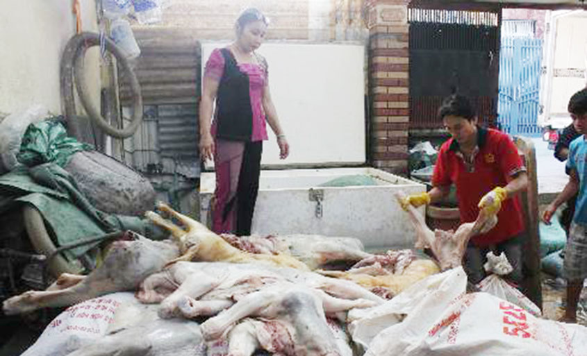 Phát hiện 2 cơ sở giết mổ chuyên thu gom heo chết