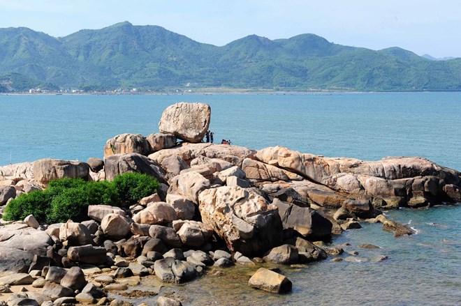 Cứu sống du khách Nga bị thương nặng do cá biển tấn công Cứu sống du khách Nga bị thương nặng do cá biển tấn công