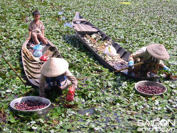 Sắc màu mưu sinh mùa lũ miền Tây Sắc màu mưu sinh mùa lũ miền Tây