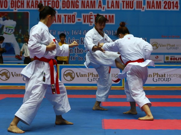 2014185_Karatedo_1.jpg