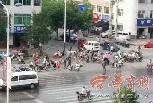 20150828_nhatvang5.jpg