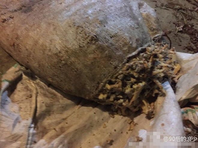 Trường học Trung Quốc dùng xương gà thối nấu canh cho học sinh