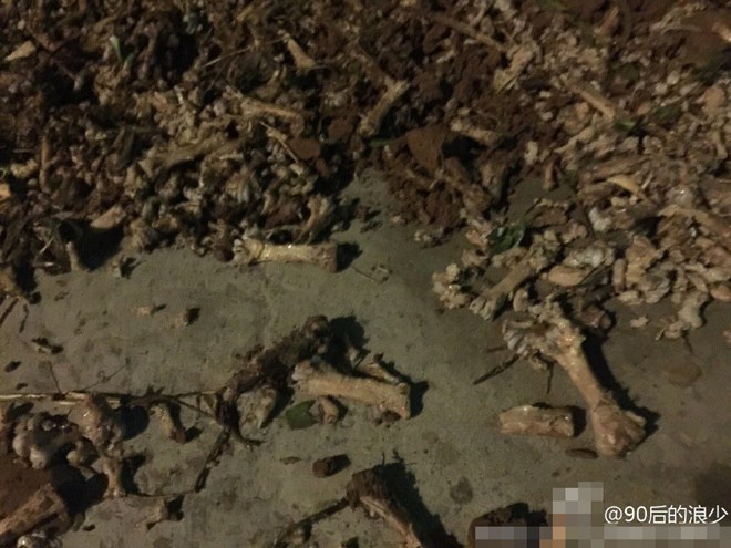20150907xuongthoi3108092015085911.jpg