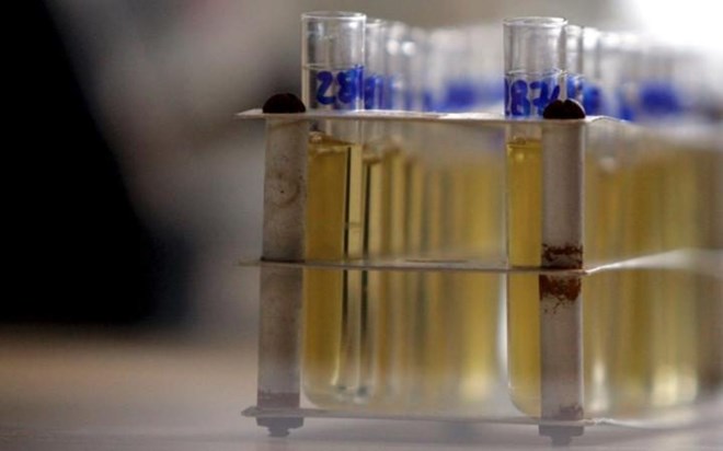Xác nhận 28 trường hợp sử dụng doping tại Olympic 2016 Xác nhận 28 trường hợp sử dụng doping tại Olympic 2016