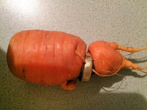 20161116nhancuoi125112016022032.jpeg