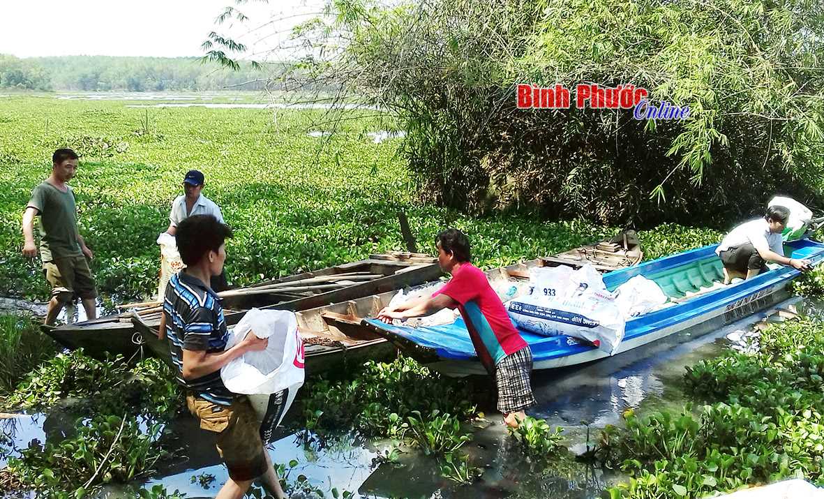 Thả 48.000 con cá giống xuống hồ thủy lợi Phước Hòa