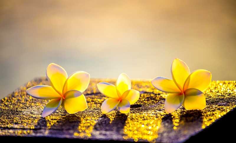 Đừng để quá khứ làm mất cơ hội Đừng để quá khứ làm mất cơ hội