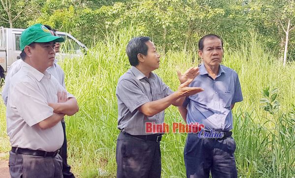 HÐND tỉnh giám sát về quản lý, bảo vệ rừng tại Lộc Ninh