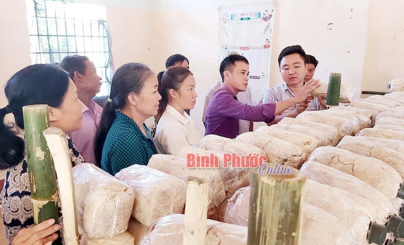 Khi nông dân "đi học"