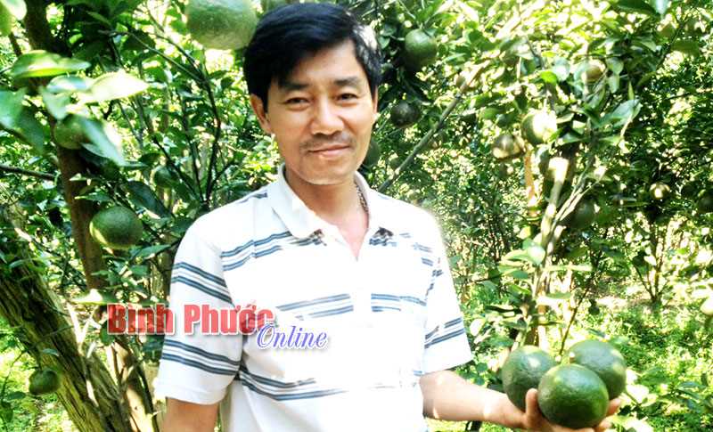 Làm giàu từ chuyển đổi cây trồng chủ lực