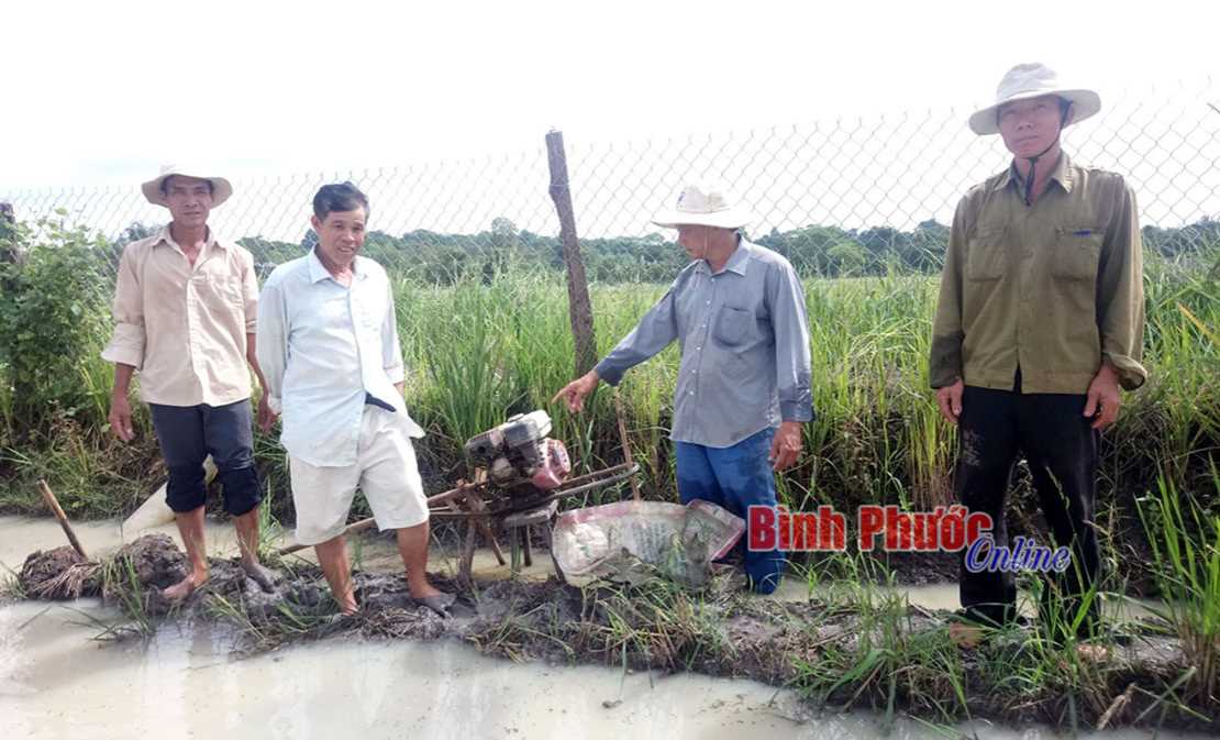 Vì sao lúa của người dân ấp 7, xã Thanh Hòa ngập nặng? Vì sao lúa của người dân ấp 7, xã Thanh Hòa ngập nặng?