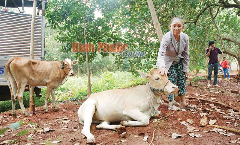 Tân Phước đề nghị công nhận 86 nông dân sản xuất - kinh doanh giỏi Tân Phước đề nghị công nhận 86 nông dân sản xuất - kinh doanh giỏi