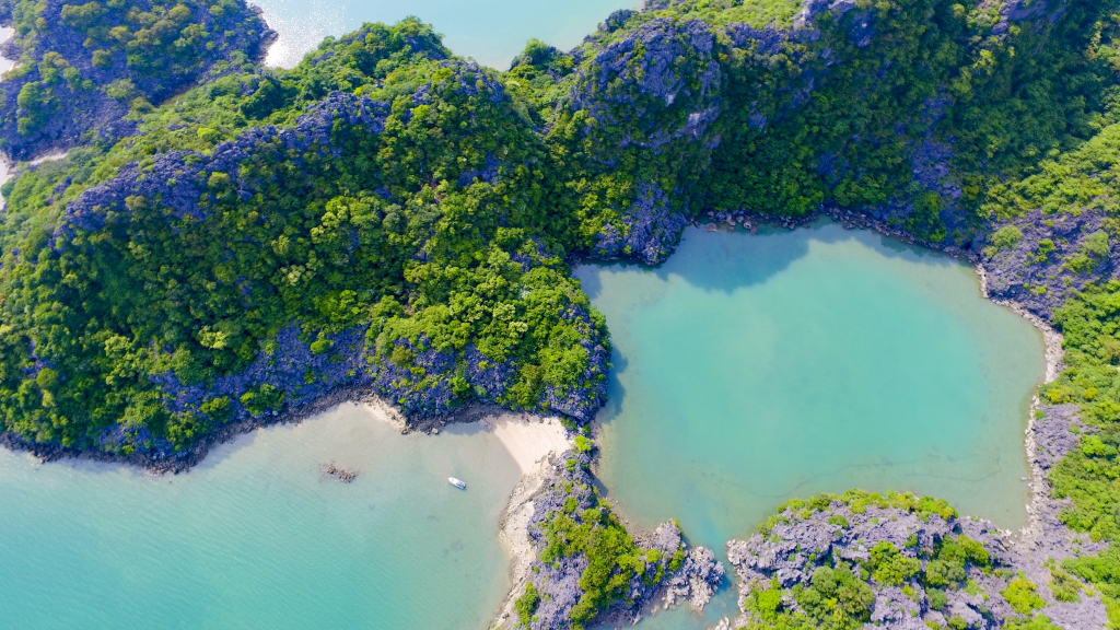 2070609_dji_0009_19512104.jpg