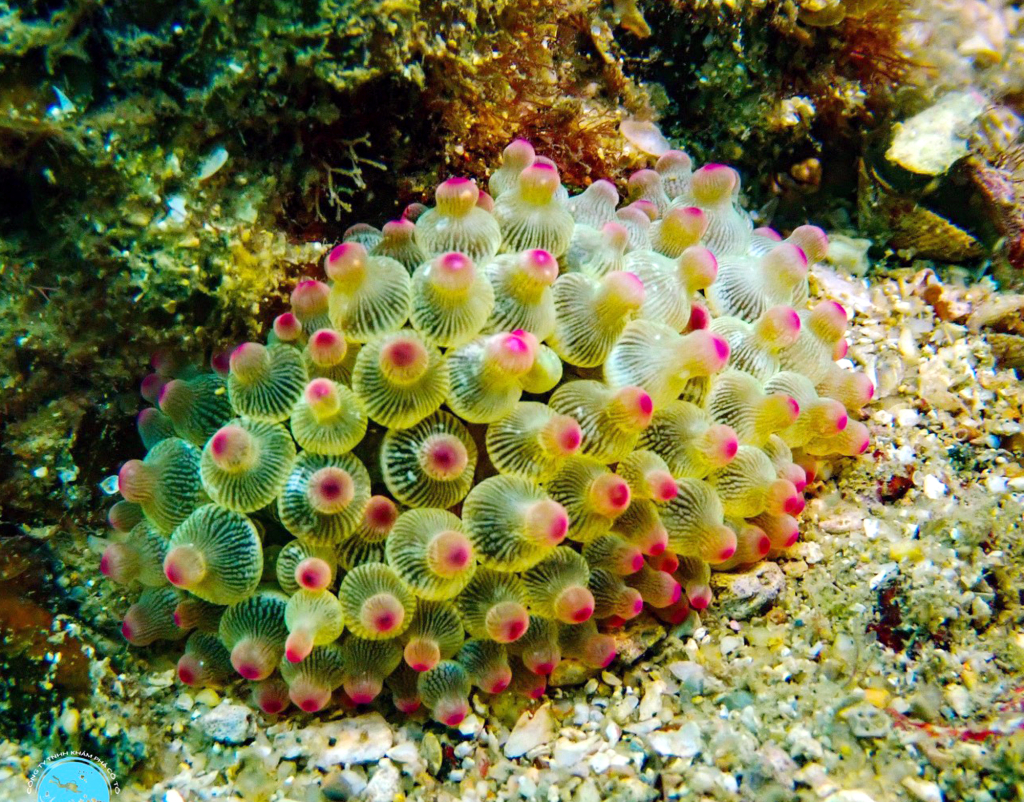 208dac6148b357f8c21fd98914f29c30.jpg