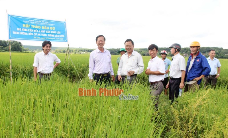 Phải xây dựng thương hiệu gạo chất lượng cao Bù Đốp Phải xây dựng thương hiệu gạo chất lượng cao Bù Đốp