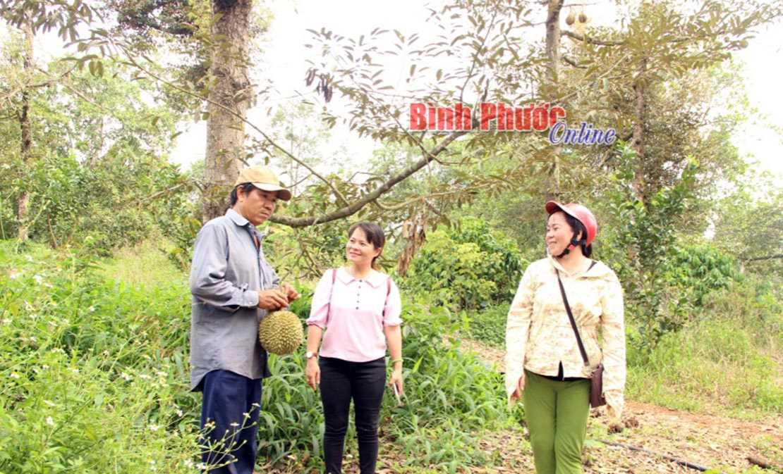 6 tháng đầu năm, nông nghiệp khởi sắc