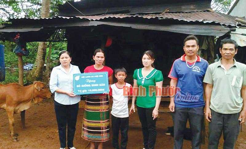 Hỗ trợ sinh kế cho hộ DTTS khó khăn Hỗ trợ sinh kế cho hộ DTTS khó khăn
