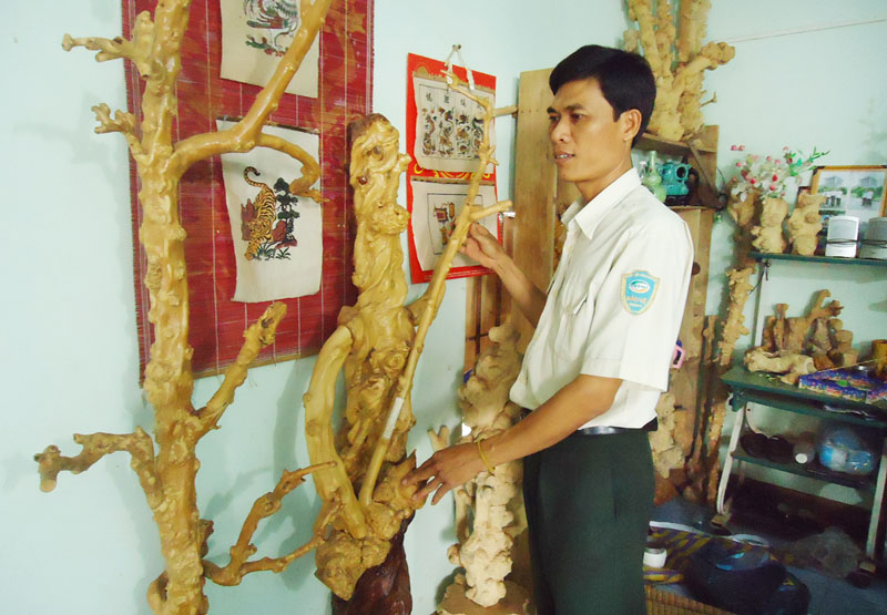 Thông điệp sống từ những cây khô Thông điệp sống từ những cây khô
