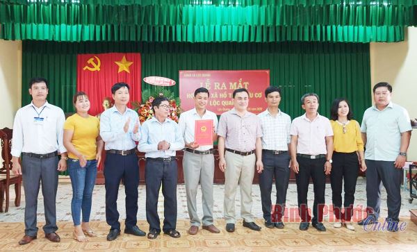 Ra mắt Hợp tác xã hồ tiêu hữu cơ Lộc Quang Ra mắt Hợp tác xã hồ tiêu hữu cơ Lộc Quang