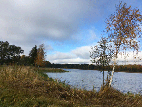 2223102018102952.gif
