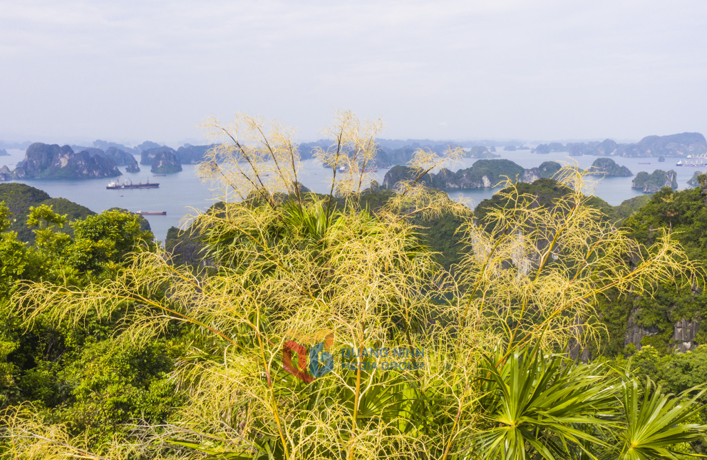 2283670_wtm_df5740bfd169af6dfc15e20b11178212.jpg