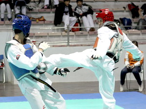 29 câu lạc bộ dự giải vô địch taekwondo quốc tế 29 câu lạc bộ dự giải vô địch taekwondo quốc tế