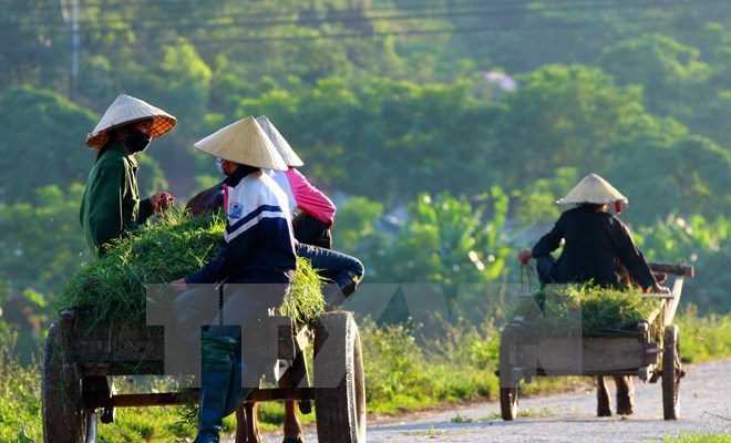 IFAD hỗ trợ 43 triệu USD tăng thu nhập cho nông dân Việt Nam