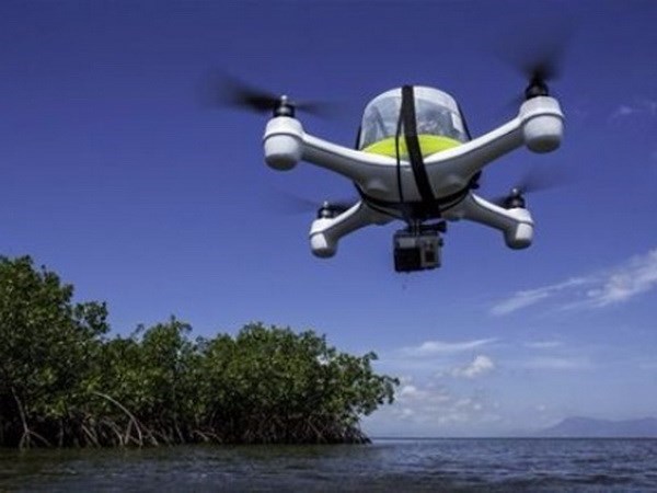 2506_syndrone.jpg