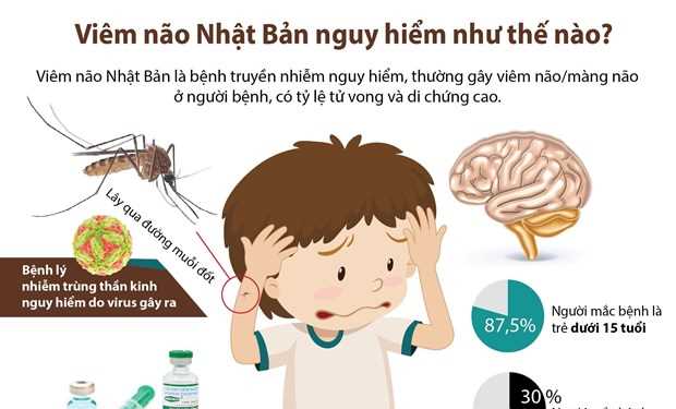 [Infographics] Viêm não Nhật Bản nguy hiểm như thế nào?