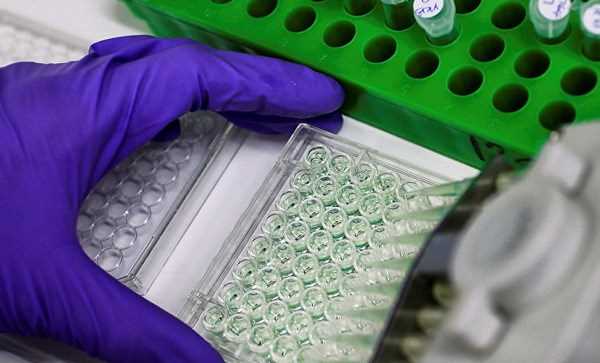 Phần Lan: Sản xuất thành công protein bằng điện và carbon dioxide Phần Lan: Sản xuất thành công protein bằng điện và carbon dioxide