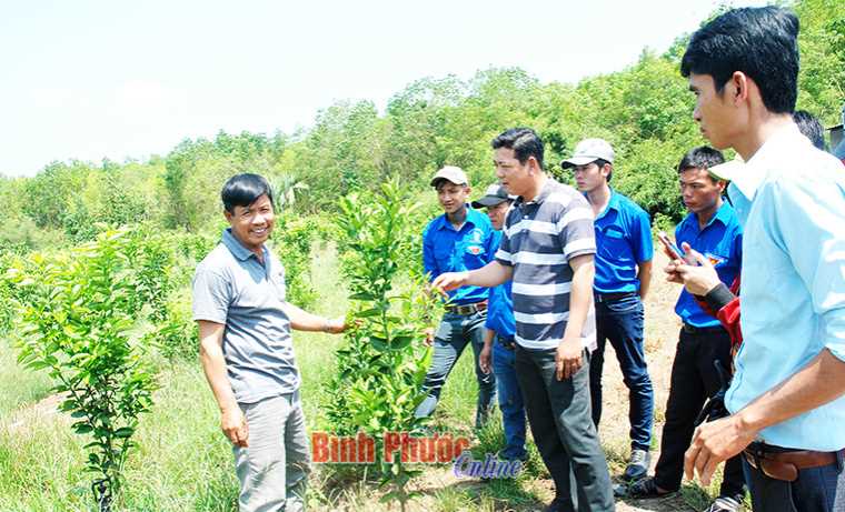 Tọa đàm nâng cao chất lượng hoạt động chi đoàn thôn, khu phố