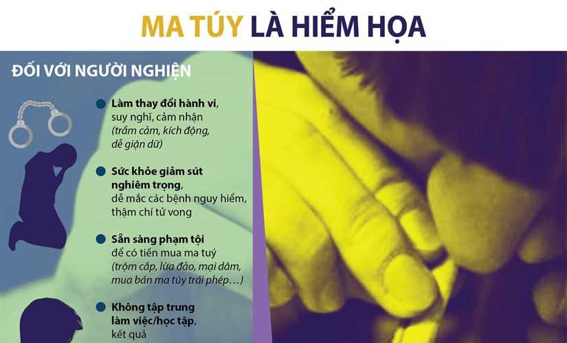 [Infographics] Ma túy là mối hiểm họa với gia đình và xã hội