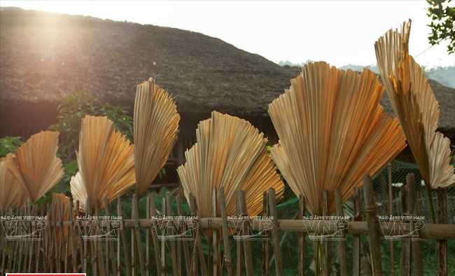 Bản nhà lá