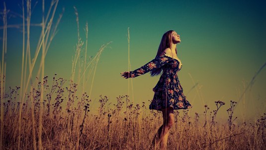 Đừng là cây tầm gửi Đừng là cây tầm gửi