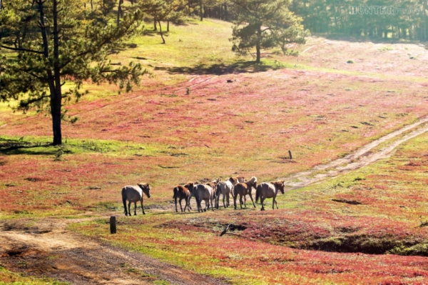 313682017080814350209082017042750.jpg
