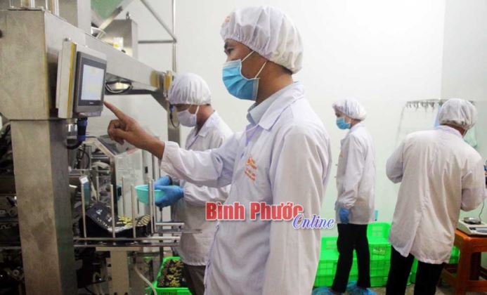Ứng dụng khoa học, công nghệ nâng cao giá trị hạt điều Ứng dụng khoa học, công nghệ nâng cao giá trị hạt điều