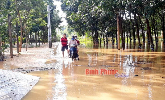 Nước ngập một số khu vực Suối Rạt thuộc Đồng Xoài, Đồng Phú Nước ngập một số khu vực Suối Rạt thuộc Đồng Xoài, Đồng Phú