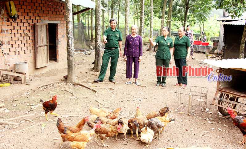 Hội cựu thanh niên xung phong phú riềng giúp nhau phát triển kinh tế Hội cựu thanh niên xung phong phú riềng giúp nhau phát triển kinh tế