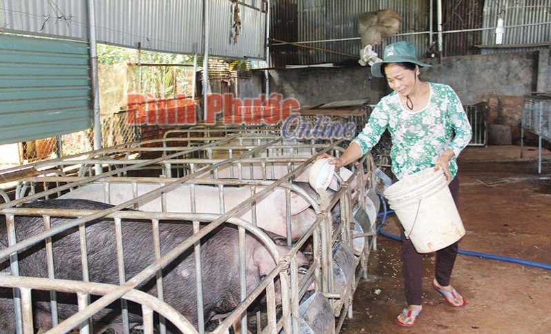 Vươn lên làm chủ cuộc sống