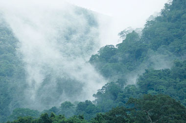 Vườn quốc gia Côn Đảo