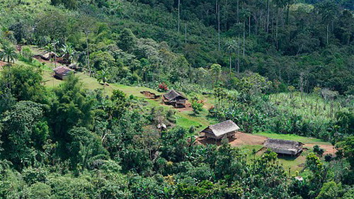 Máy bay rơi ở Papua New Guinea, 28 người chết Máy bay rơi ở Papua New Guinea, 28 người chết