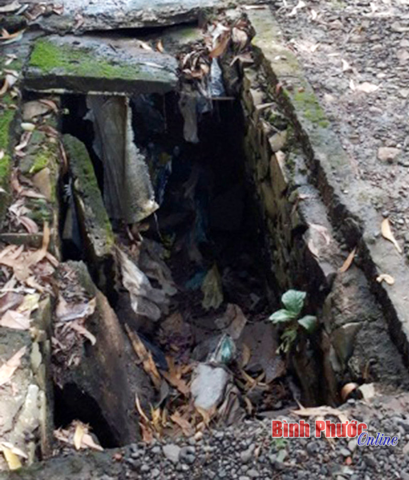 3699830112017102154.jpg